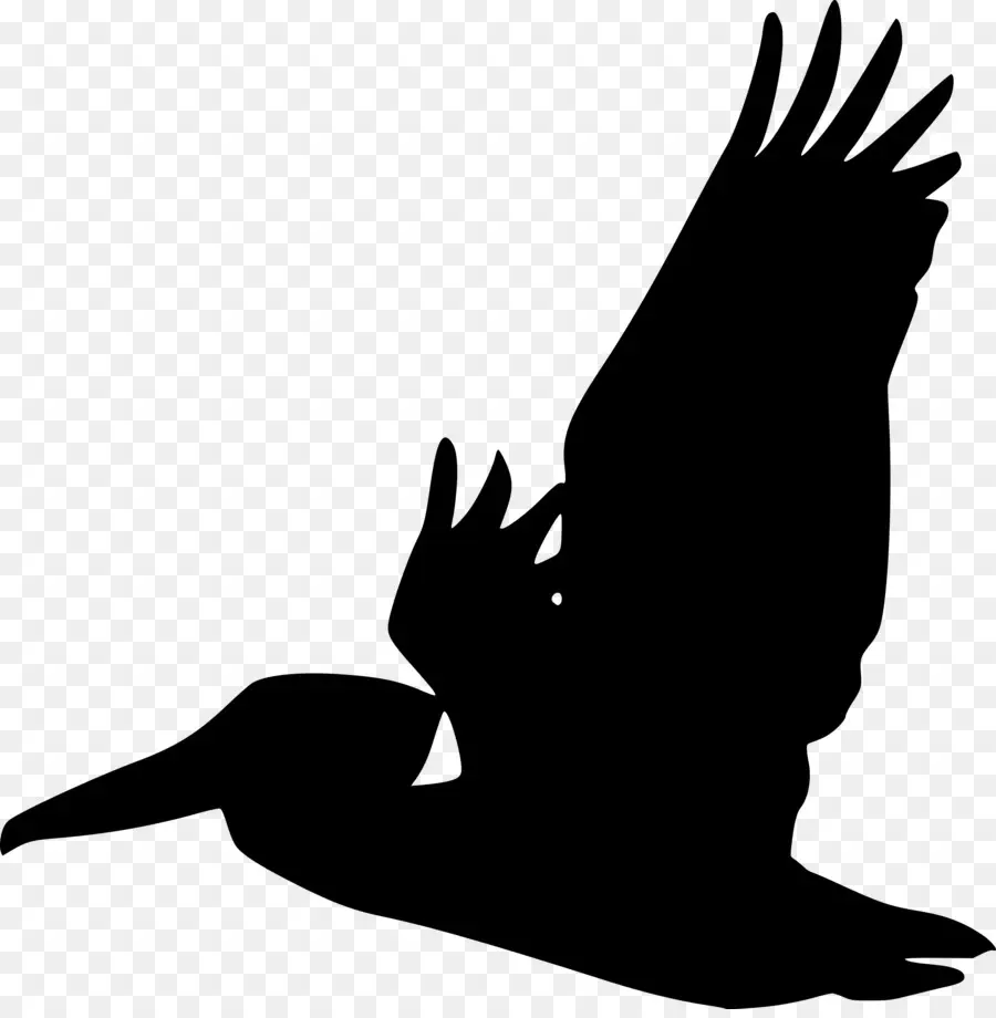 Aigle Silhouette，Ailes PNG