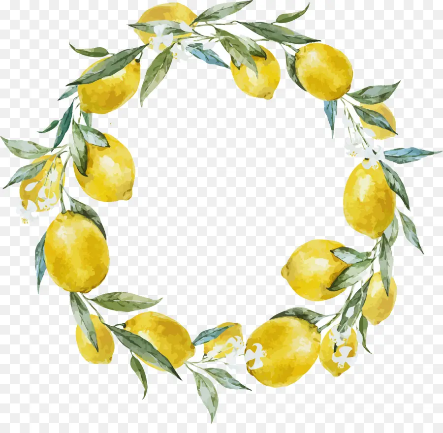 Couronne De Citron，Citrons PNG