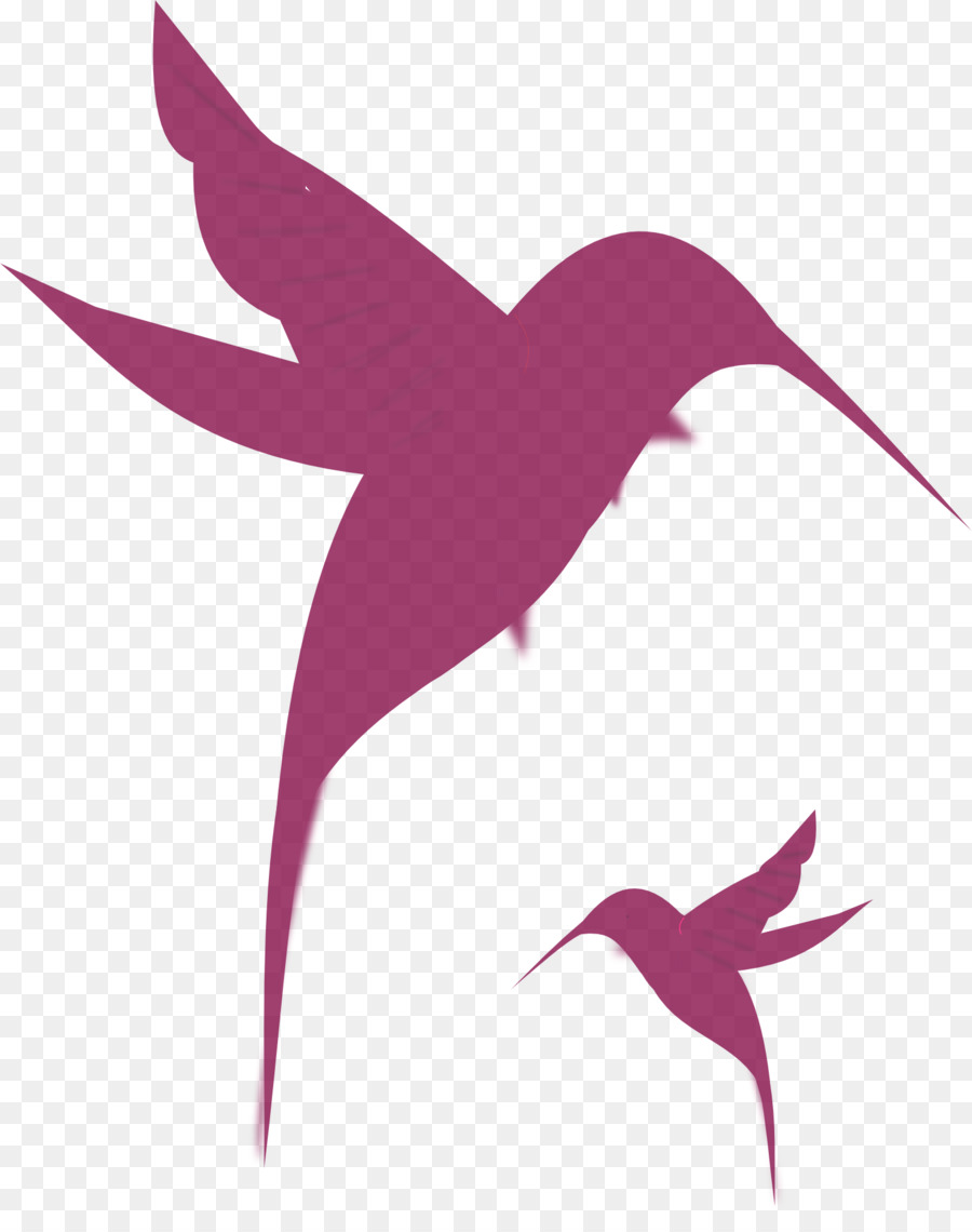 Oiseaux，Troupeau PNG