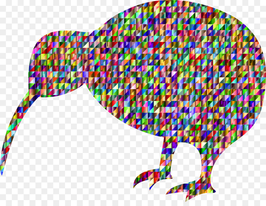 Oiseau Kiwi，Coloré PNG