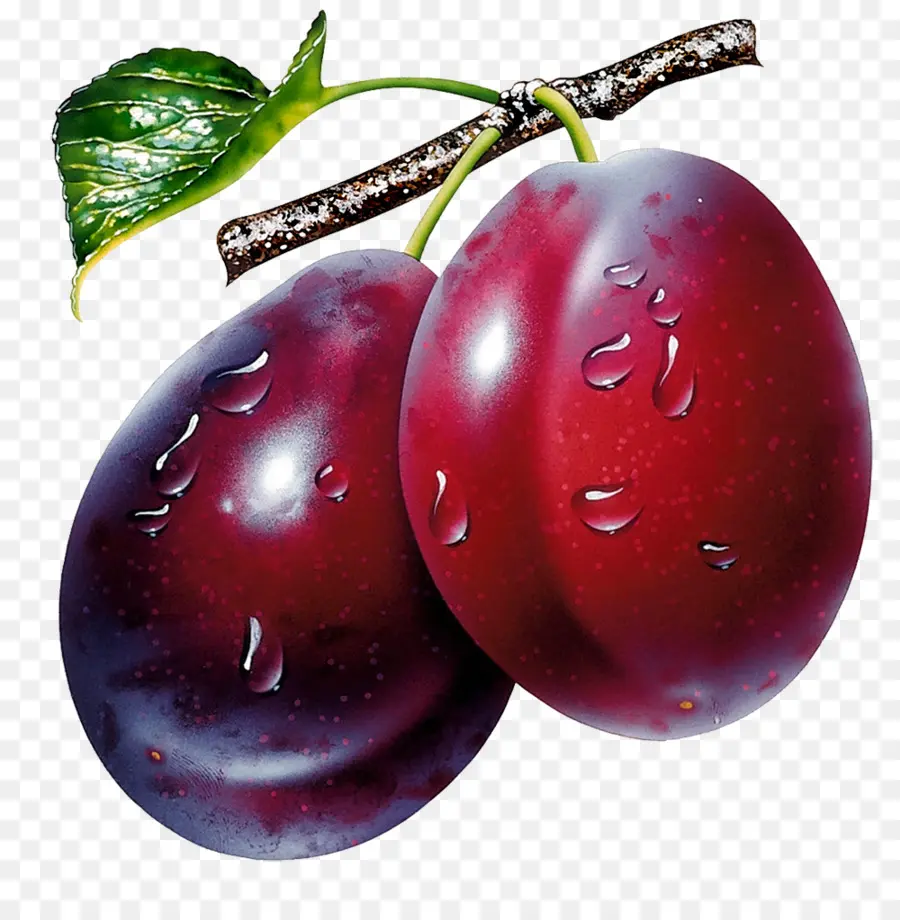 Prune，Fruits PNG