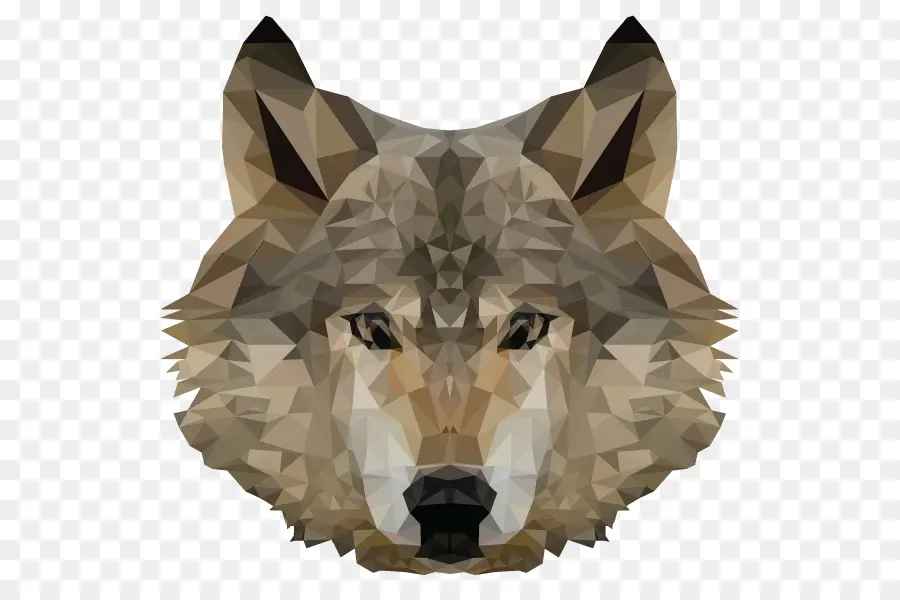 Loup，Sauvage PNG