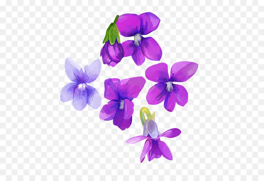 Aquarelle Fleurs，Fleur PNG