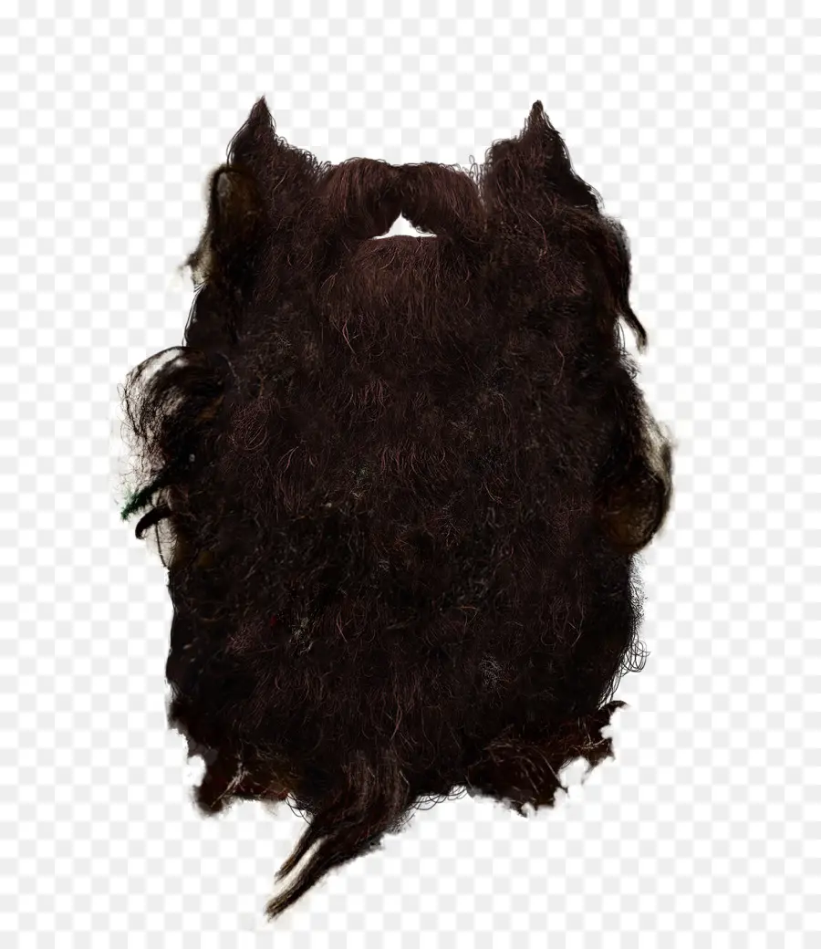 Barbe，Poils Du Visage PNG