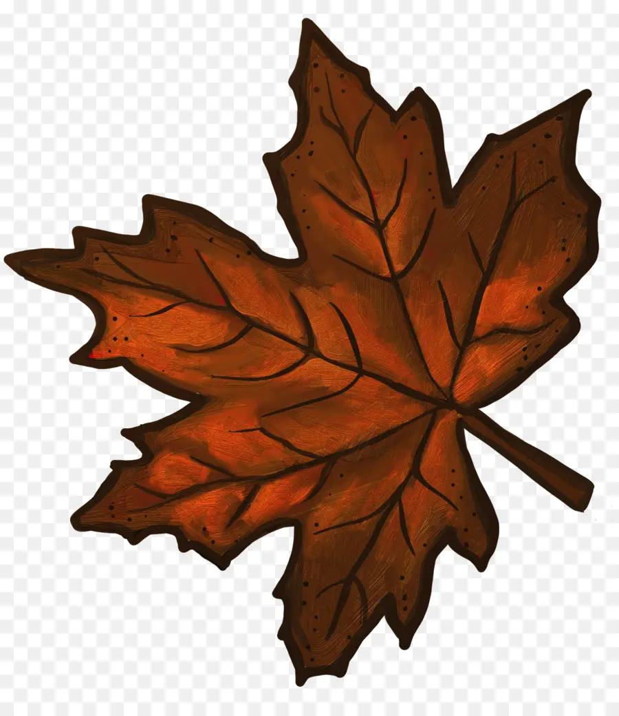 Feuille，Automne PNG