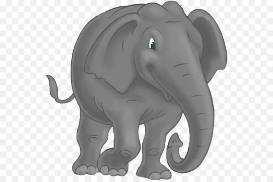 Éléphant，Défenses PNG