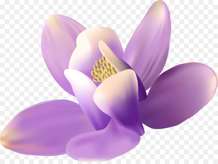 Fleur，Aperçu PNG
