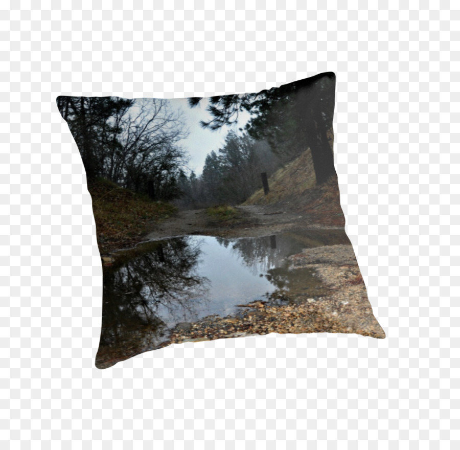 Les Coussins，Coussin PNG