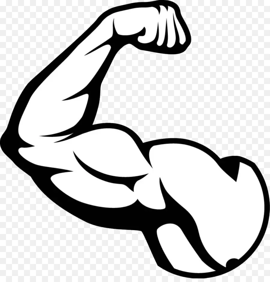 Biceps，Bras PNG