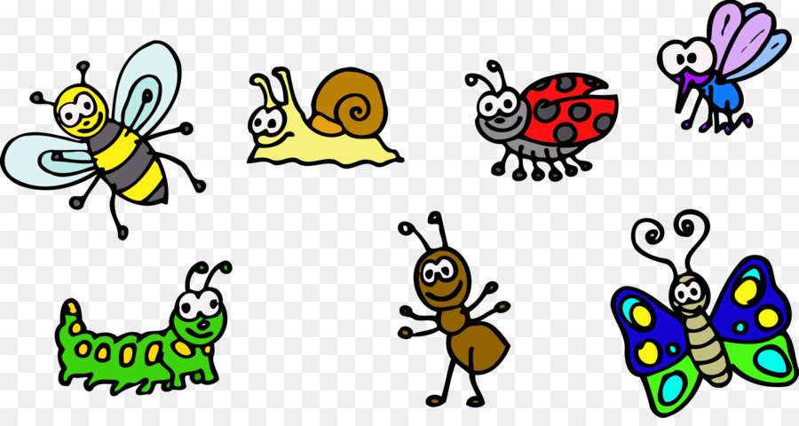 Insecte，Animal PNG