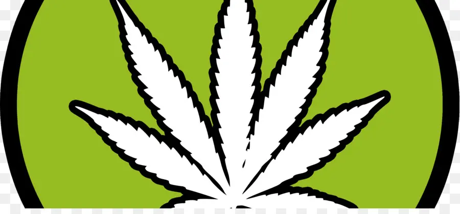 Feuille De Cannabis，Marijuana PNG