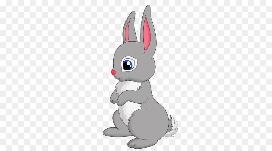 Lapin Mignon，Lapin PNG