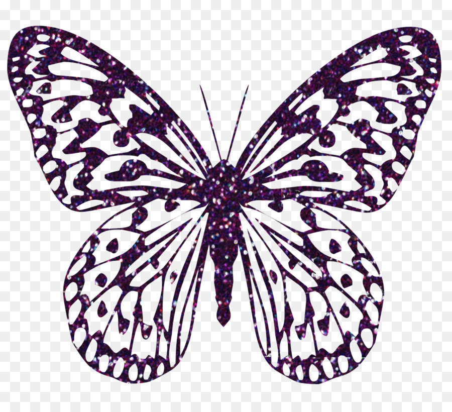 Papillon Noir Et Blanc，Ailes PNG