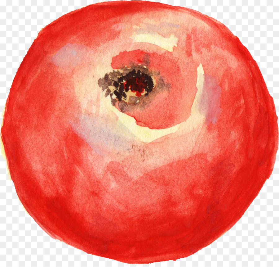 Tomate，La Peinture à L'aquarelle PNG