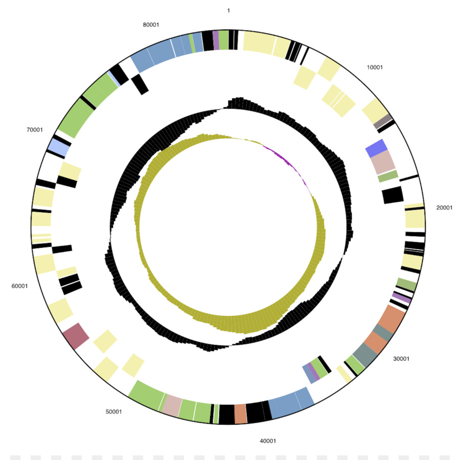 Diagramme Circulaire，Données PNG