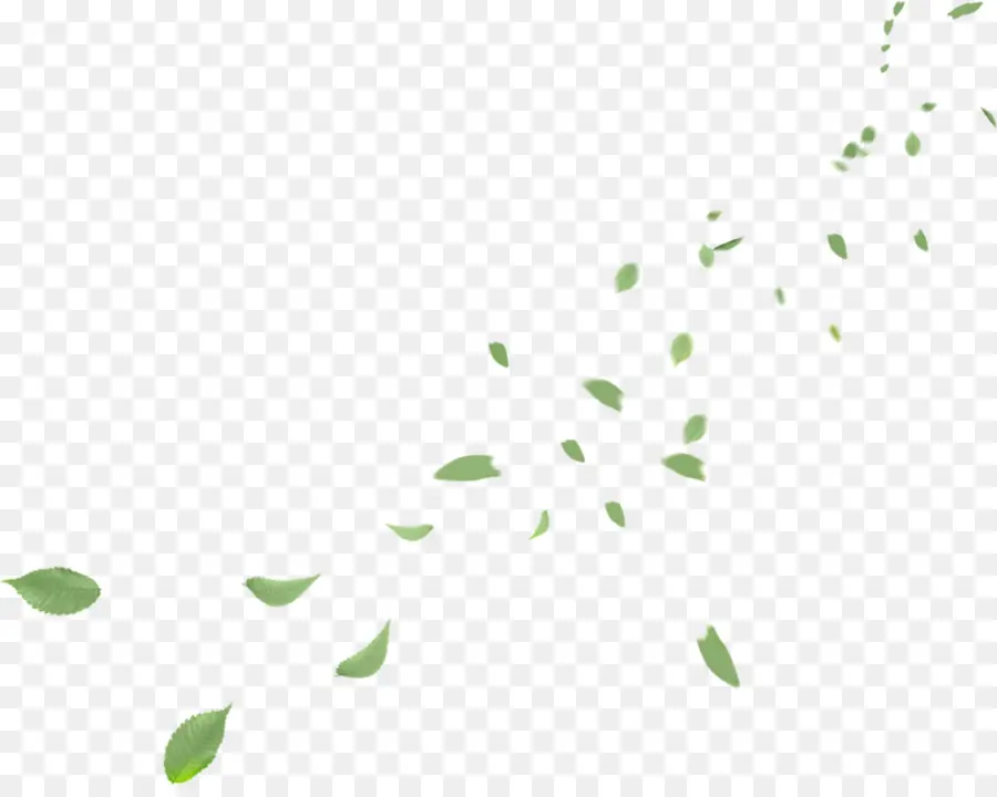 Feuilles，Vert PNG