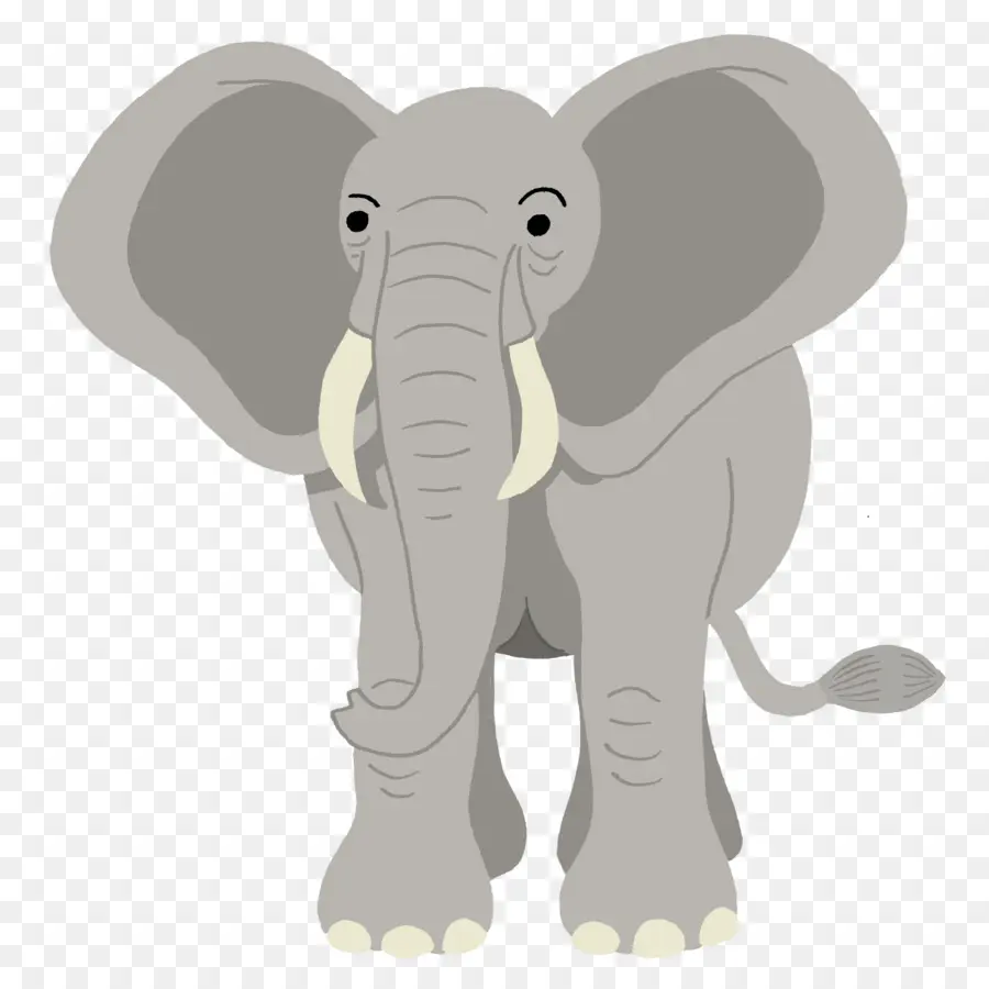 Éléphant De Dessin Animé，Mignon PNG