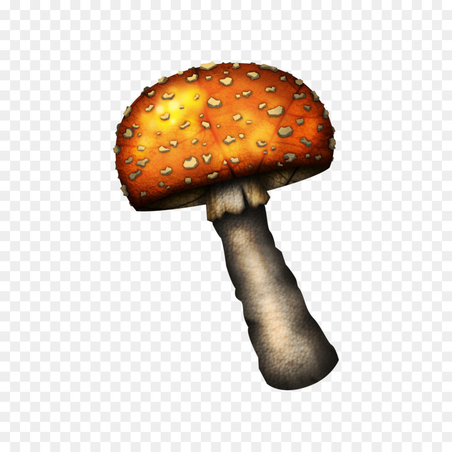 Créature Champignon，Champignon PNG