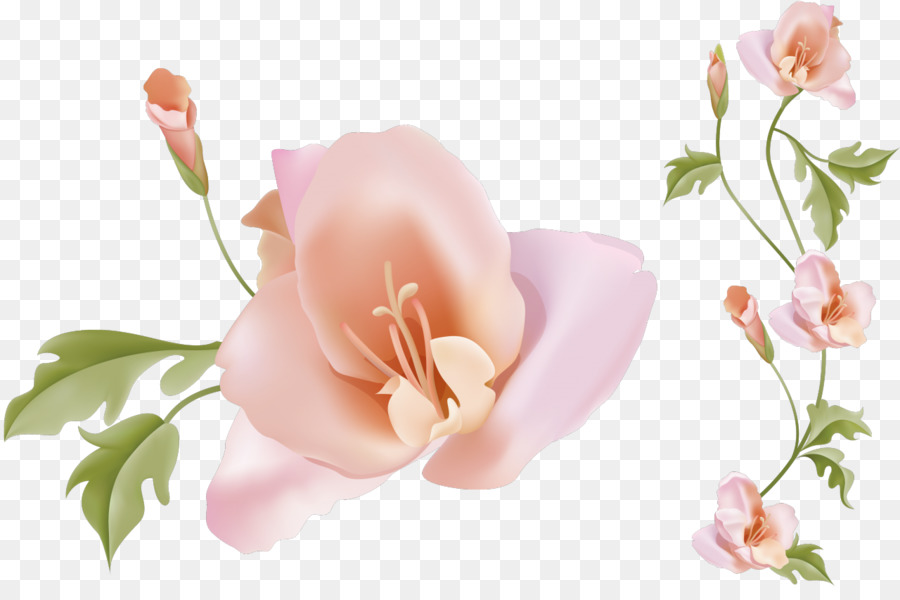 Fleurs Roses，Fleurs PNG