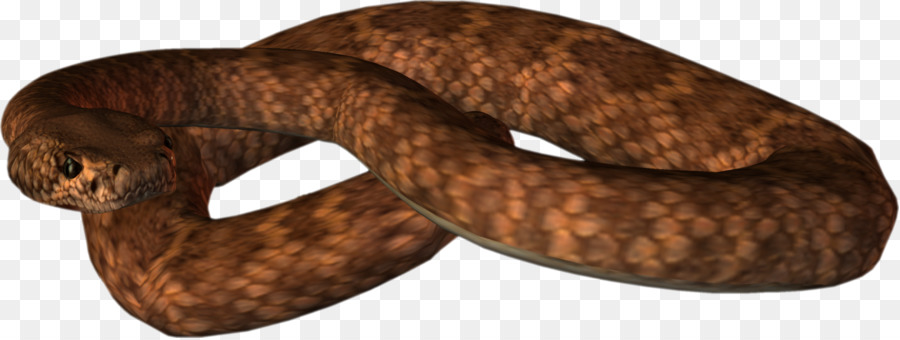 Serpent，Reptile PNG