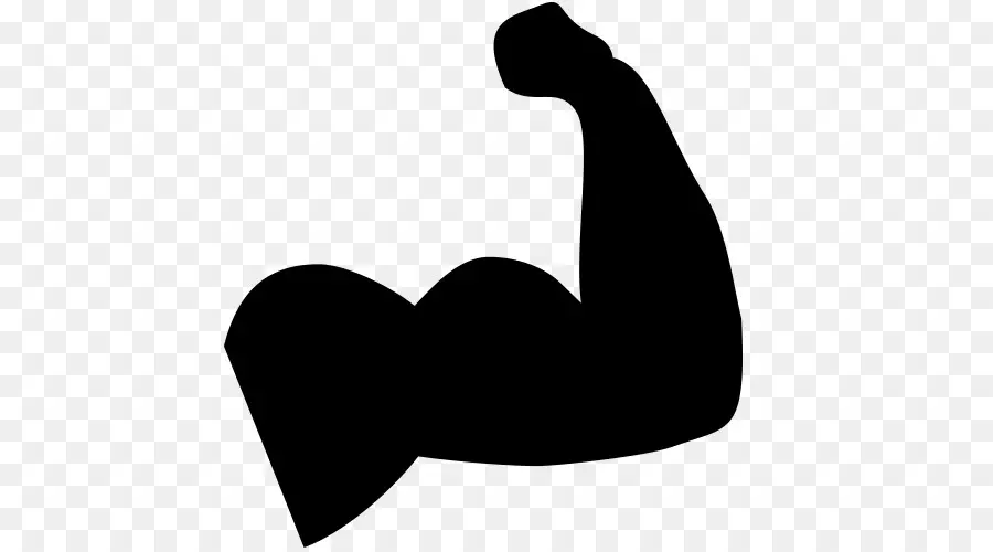 Bras，Muscle PNG