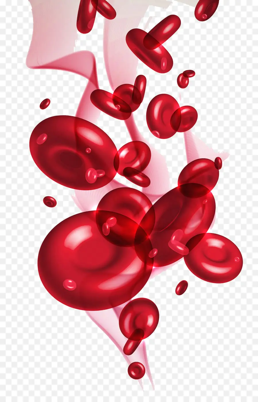 Des Globules Rouges，Cellule PNG