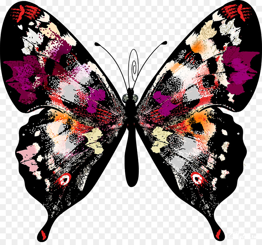Papillon，L Image Numérique PNG