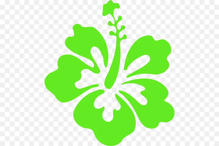 Hawaii，Fleur PNG