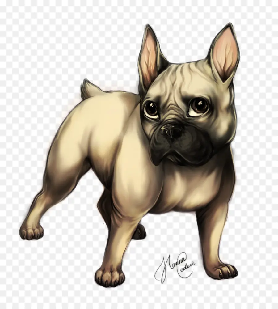 Chien De Dessin Animé，Illustration PNG