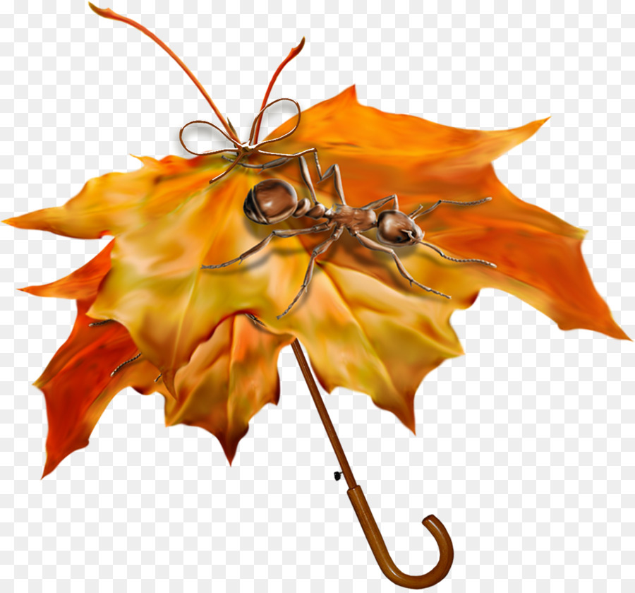 L Automne，Parapluie PNG