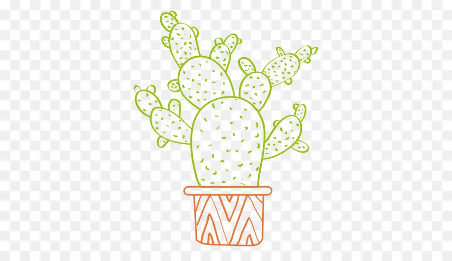 Cactus Et Plantes Grasses，Cactaceae PNG