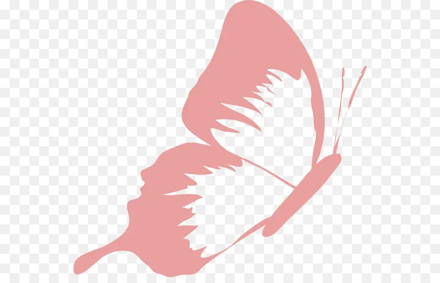 Papillon，Rose PNG