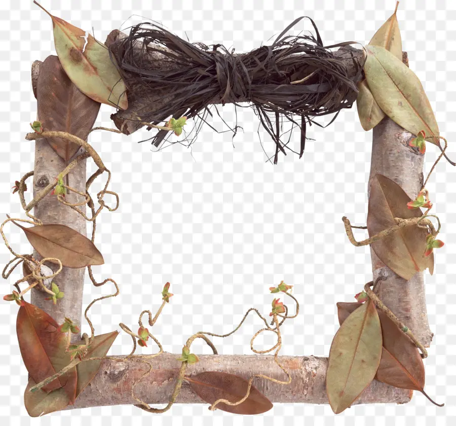 Cadre Naturel Avec Feuilles，Feuilles PNG