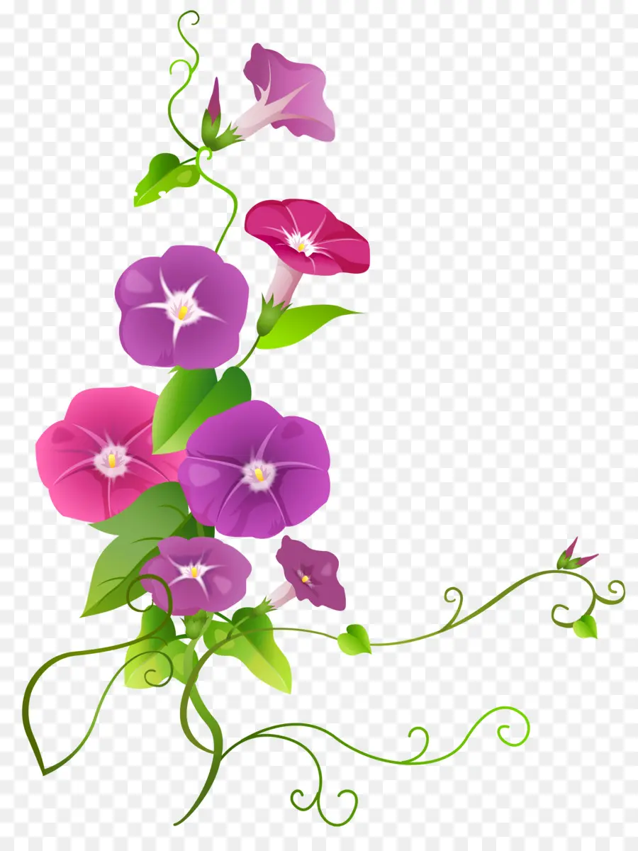 Fleurs，Violet PNG