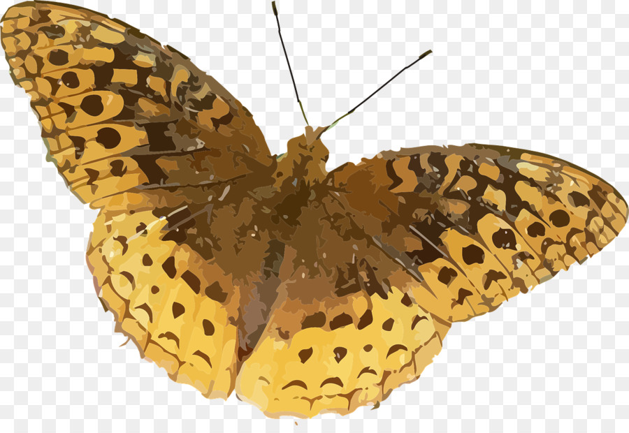 Papillon，Brun PNG