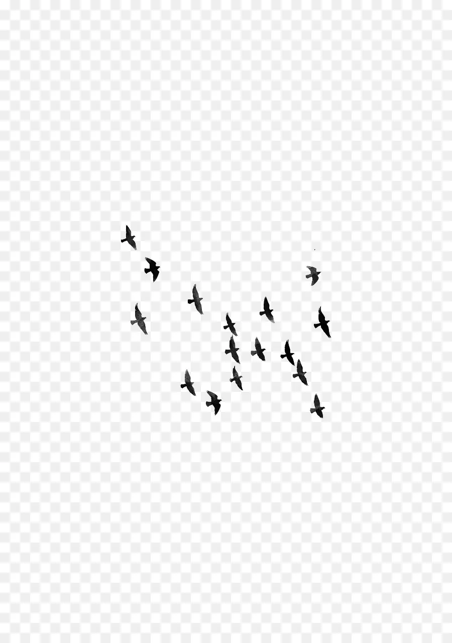 Oiseaux Volants，Ciel PNG