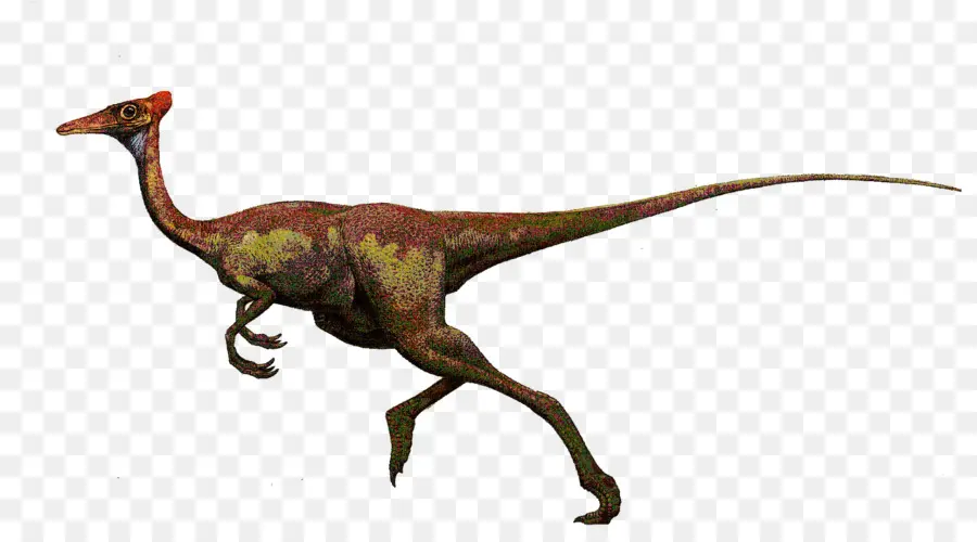 Dinosaure，Préhistorique PNG