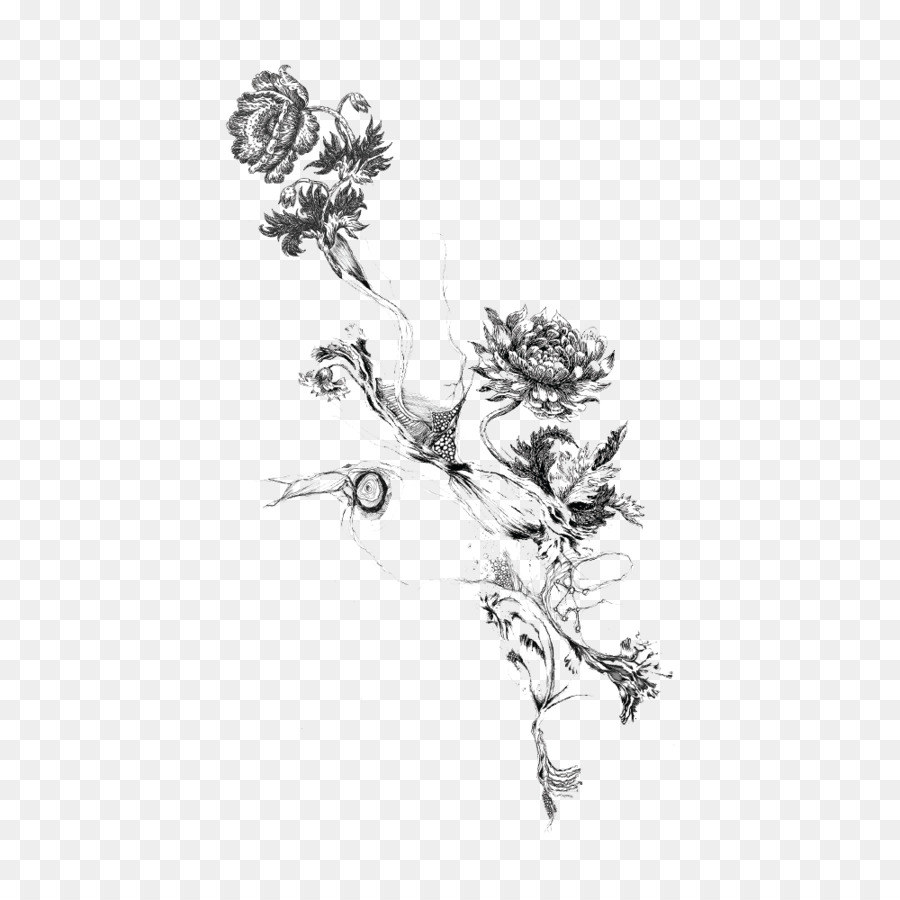 Croquis Floral，Fleurs PNG