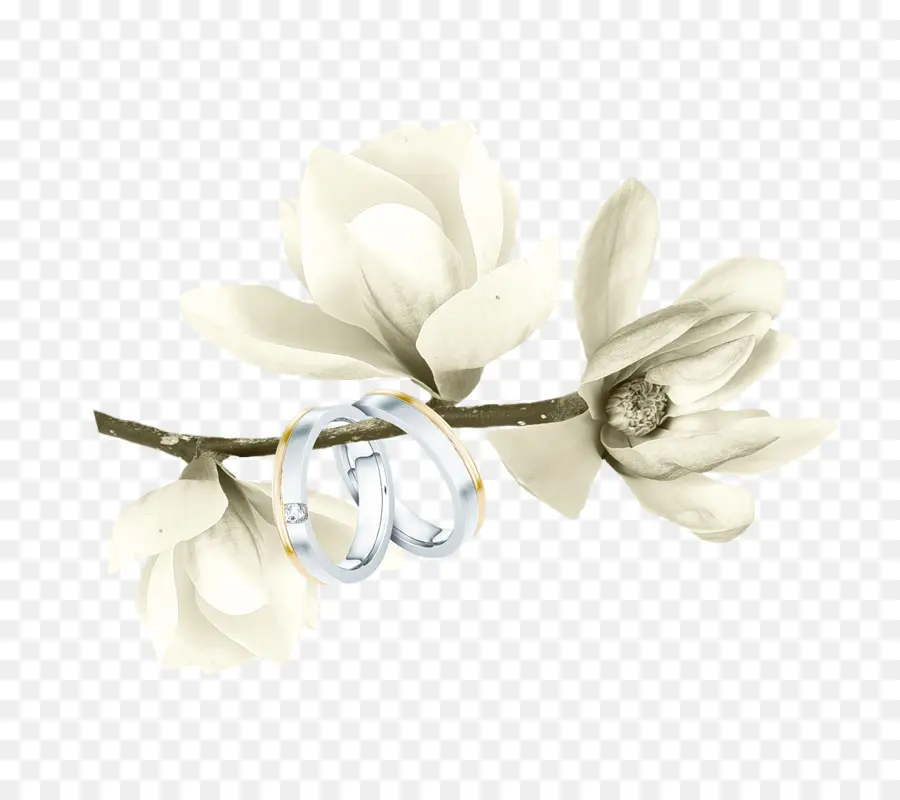 Anneaux De Mariage，Fleurs PNG