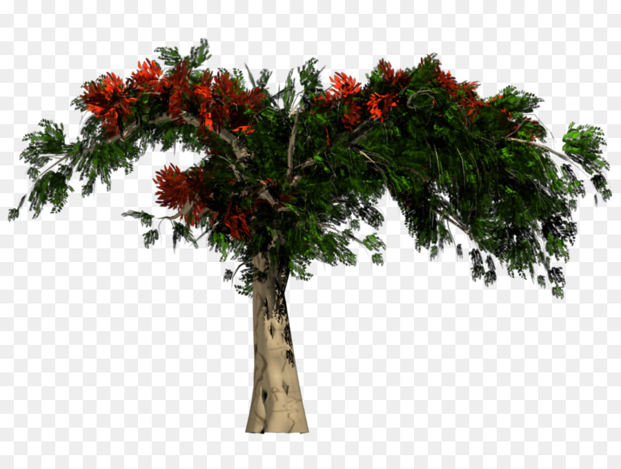 Arbre，Succursales PNG