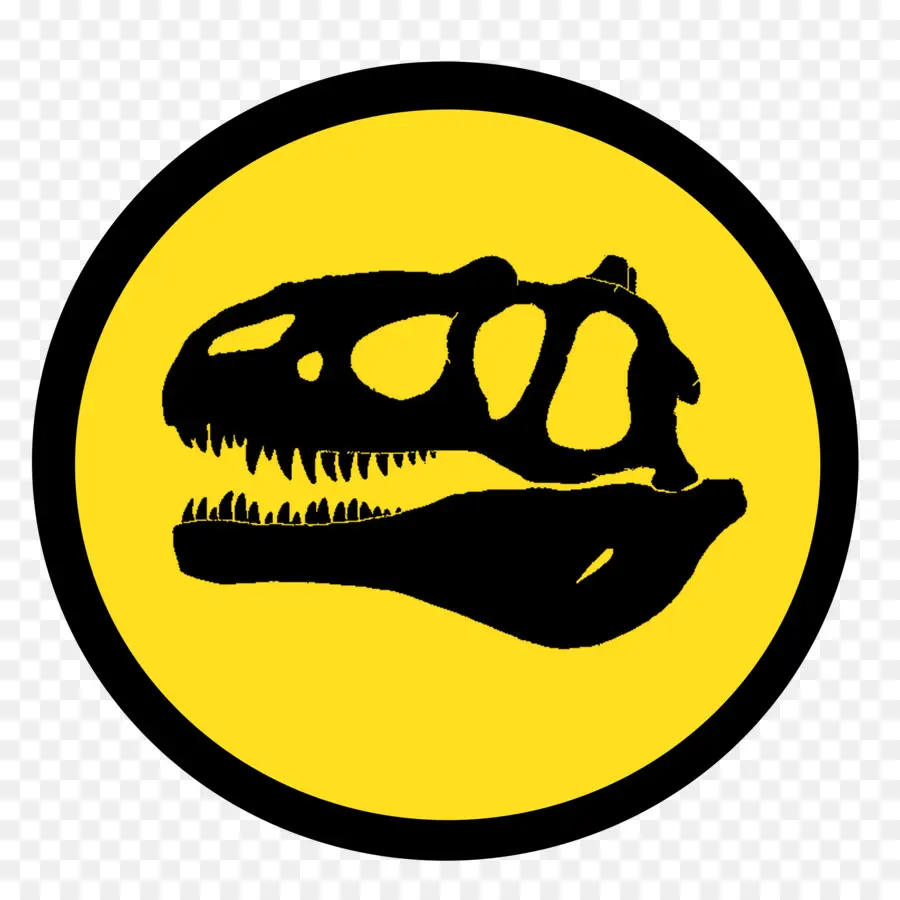 Crâne De Dinosaure，Fossile PNG