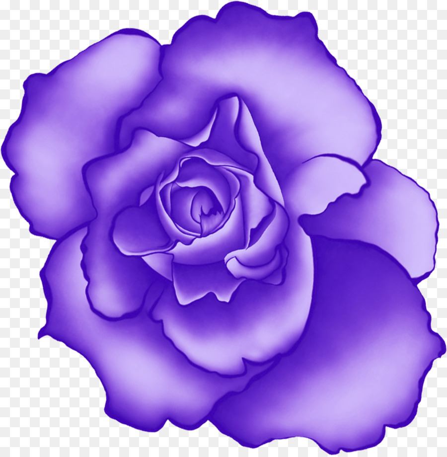 Roses Violettes，Fleurs PNG