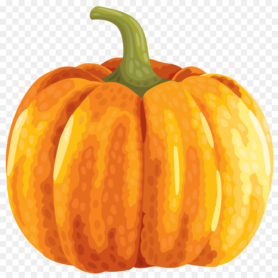 Cucurbita Pepo，La Citrouille PNG