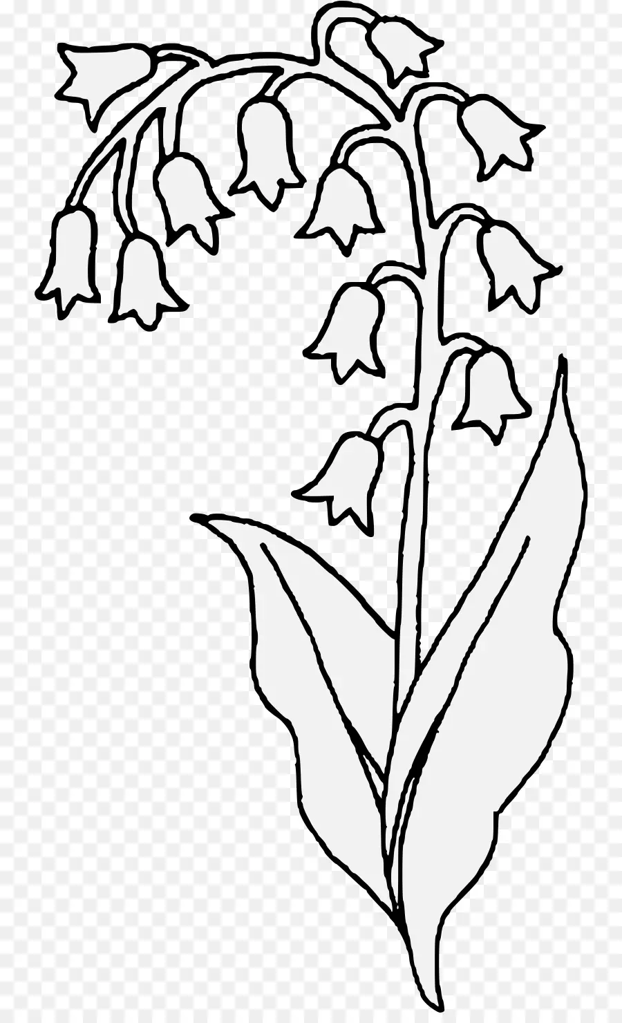 Muguet，Fleur PNG