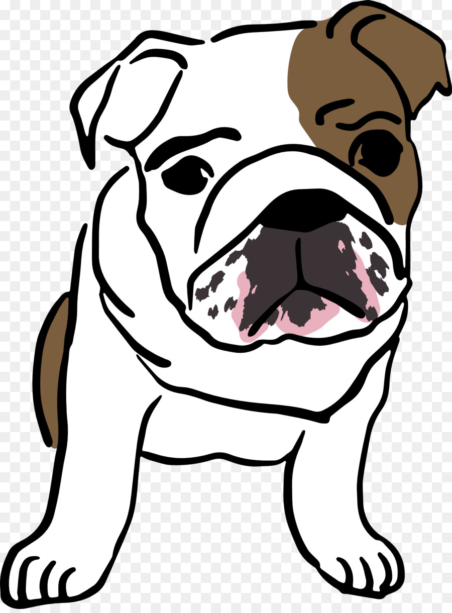 Bouledogue，Chien PNG