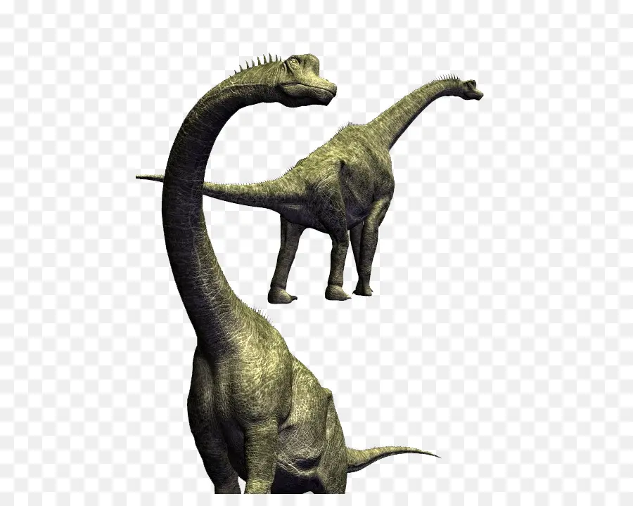 Brachiosaure，Long Cou PNG