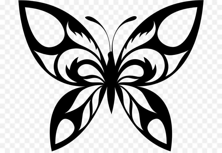 Papillon，Insecte PNG