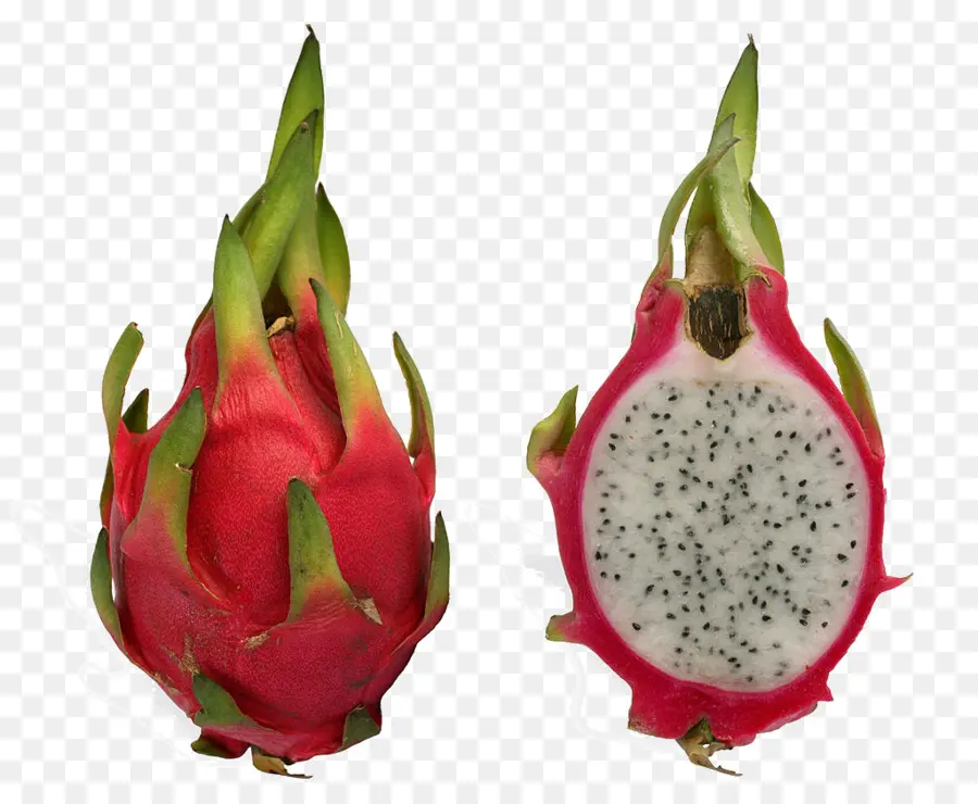 Fruit Du Dragon，Tropical PNG