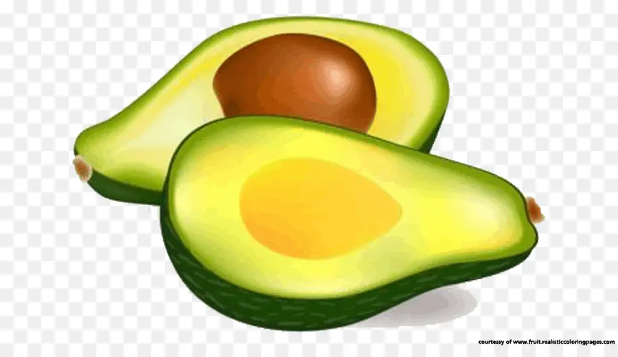 Avocat，Vert PNG