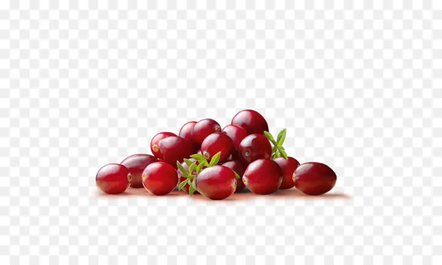 Canneberges，Fruit PNG